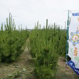 メイワ未来の森　春の保育活動を行いました