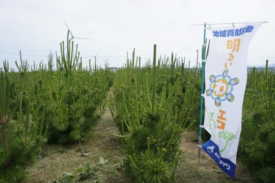保育活動