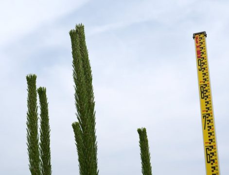 3メートル