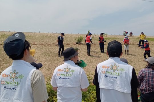 植樹方法