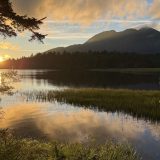 夏の思い出 遥かな尾瀬の山旅