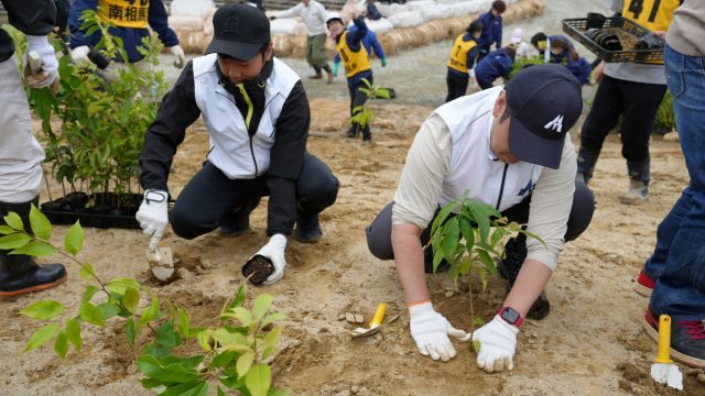 苗植え