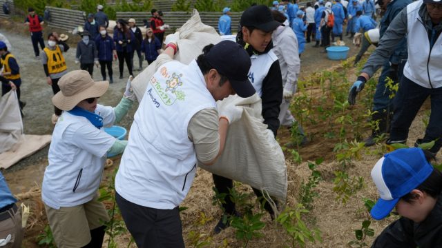 藁敷き